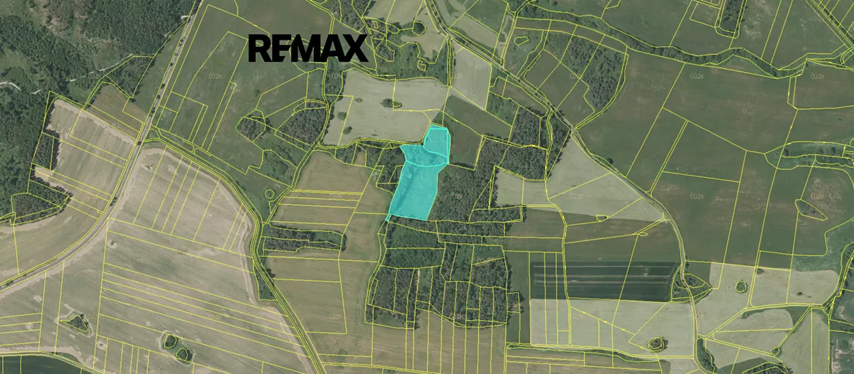 Prodej lesa 19636 m²